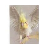 Cockatiel Portrait Velveteen Plush Blanket III