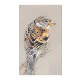 Feathered Beauty: Brambling Portrait Rug