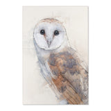 Nocturnal Grace: Barn Owl Portrait Area Rug