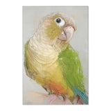 Conure Elegance Portrait Rug