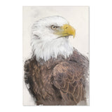 Regal Majesty: Bald Eagle Portrait Area Rug