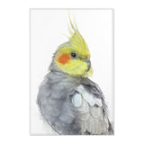 Cockatiel Beauty: Colorful Area Rug