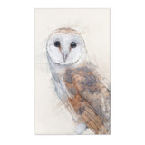 Nocturnal Grace: Barn Owl Portrait Area Rug