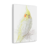 Sunny Serenade: The Yellow and White Cockatiel Canvas Artwork