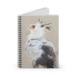 Graceful Strides: A Notebook of the Secretarybird