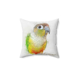 Pineapple Conure Elegance Pillow II