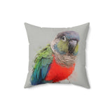 Conure Elegance Pillow V