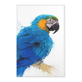 Blue and Yellow Perfection: Macaw Design Rug