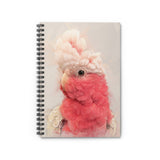 Galah Cockatoo Captures Spiral Notebook