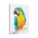 lue & Yellow Macaw – Tropical Bird Wall Art