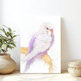 Lavender Whisper: Violet and White Budgie Portrait