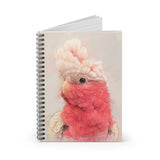 Galah Cockatoo Captures Spiral Notebook