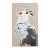 Noble Stature: Secretarybird Portrait Area Rug