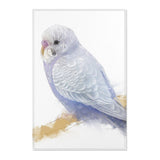 Chirpy Charm: Budgie Portrait Area Rug