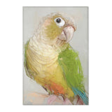 Conure Elegance Portrait Rug