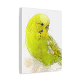 Citrus Song: Yellow and Lime Budgie