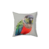 Conure Elegance Pillow V