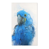 Feathered Friend: Hyacinth Art Rug