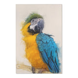 Macaw Elegance Portrait Rug