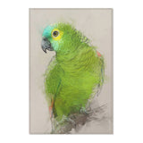 Chirpy Charm: Amazon Portrait Area Rug