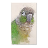 Conure Bliss: Whimsical Area Rug