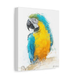 lue & Yellow Macaw – Tropical Bird Wall Art