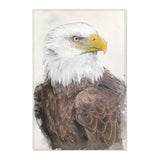 Regal Majesty: Bald Eagle Portrait Area Rug