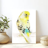 Golden Whisper: Yellow and White Budgie Portrait