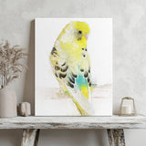 Golden Whisper: Yellow and White Budgie Portrait