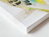 Golden Whisper: Yellow and White Budgie Portrait