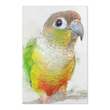 Feathered Friend: Conure Art Rug