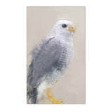 Steely Gaze: Gray Hawk Portrait Rug