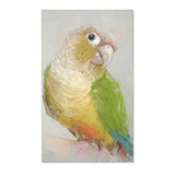 Conure Elegance Portrait Rug