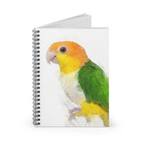 Caique Creations: A Notebook of Bright Ideas