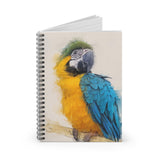 Jungle Jewels: A Macaw Parrot Journal