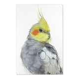 Cockatiel Beauty: Colorful Area Rug