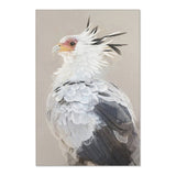 Noble Stature: Secretarybird Portrait Area Rug