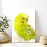 Citrus Song: Yellow and Lime Budgie