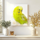 Citrus Song: Yellow and Lime Budgie
