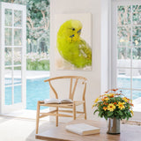 Citrus Song: Yellow and Lime Budgie