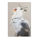 Noble Stature: Secretarybird Portrait Area Rug