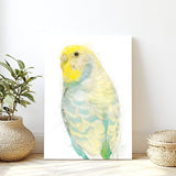 Tropical Breeze: Yellow and Turquoise Budgie