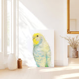 Tropical Breeze: Yellow and Turquoise Budgie