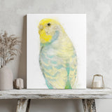 Tropical Breeze: Yellow and Turquoise Budgie