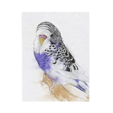 Budgie Portrait Velveteen Plush Blanket II