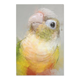 Conure Beauty: Colorful Area Rug