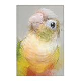 Conure Beauty: Colorful Area Rug