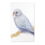 Chirpy Charm: Budgie Portrait Area Rug