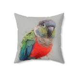 Conure Elegance Pillow V