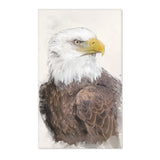 Regal Majesty: Bald Eagle Portrait Area Rug